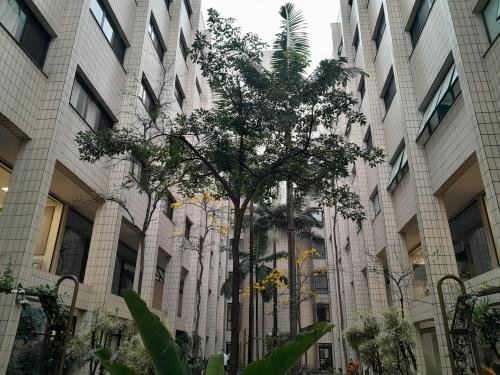 The Sao Paulo Brazil MTC courtyard