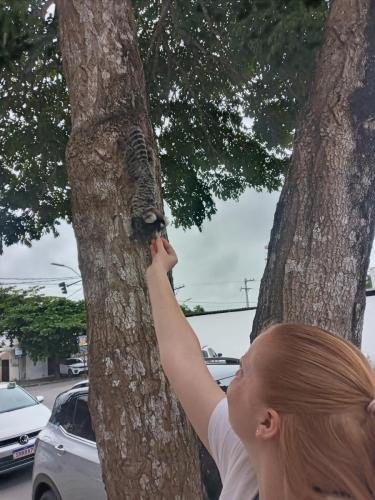 Alyssa feeds a monkey (common marmoset) a piece of banana