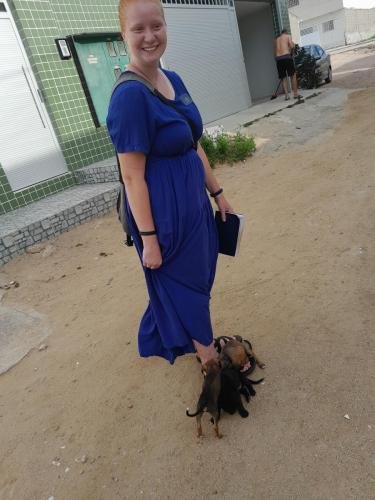 A pack of hungry puppies attack Alyssa's feet on the streets of Arcoverde