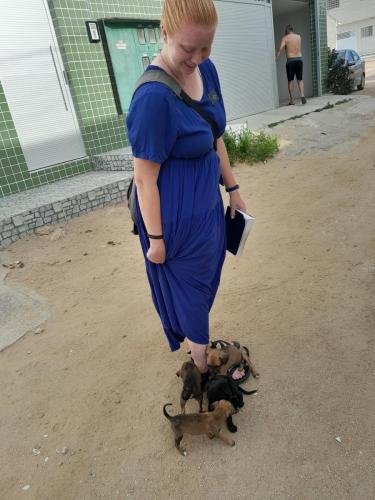 A pack of hungry puppies attack Alyssa's feet on the streets of Arcoverde