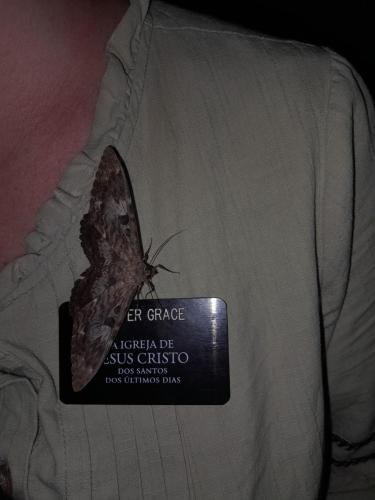 Alyssa with a moth friend on her name tag