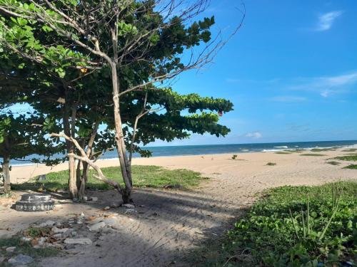 The beach in Alyssa's area in Candelaria