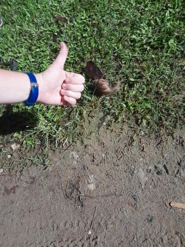 Alyssa with a large snail