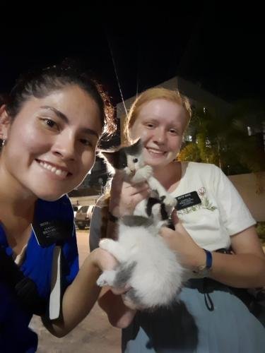 Alyssa and Sister Zurita holding a couple of kittens