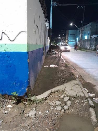 A donkey on the sidewalk in Jardim America