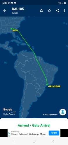 Alyssa's Flight Information Screenshot