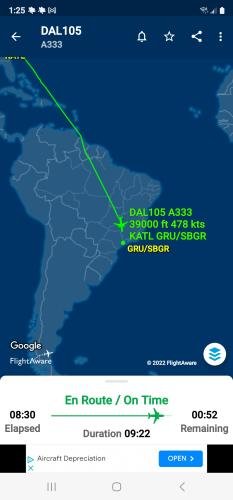 Alyssa's Flight Information Screenshot