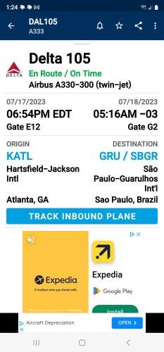 Alyssa's Flight Information Screenshot