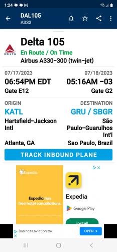 Alyssa's Flight Information Screenshot