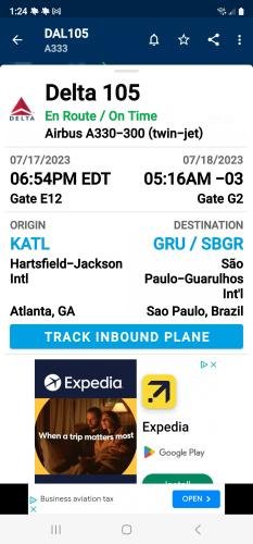 Alyssa's Flight Information Screenshot