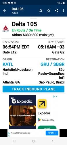 Alyssa's Flight Information Screenshot