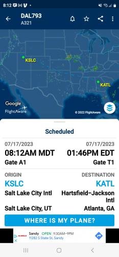 Alyssa's Flight Information Screenshot