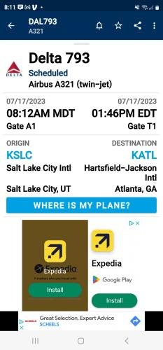 Alyssa's Flight Information Screenshot